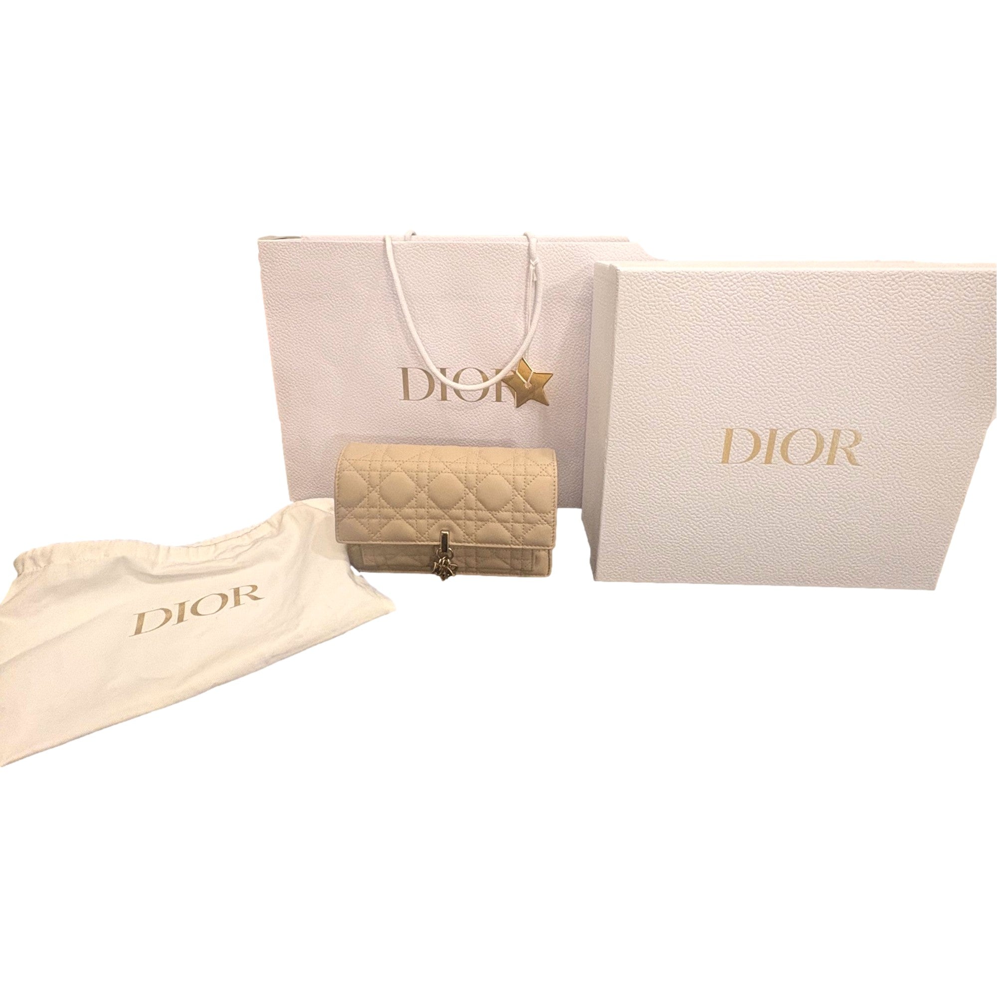 My Dior Daily Pouch: Elegant Beige Lambskin with Chain
